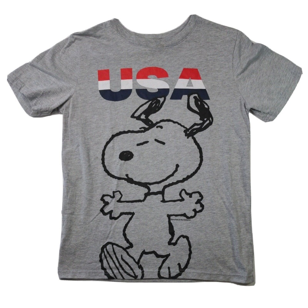 2019 Peanuts Worldwide Graphic Tee Boy's XL Gray Crew Neck Short Sleeve